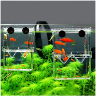 Kweekbak - foktank voor aquaria - acryl dubbele laag - vis foktank voor guppies, garnalen en mollies - aquarium foktank - isolatie doos voor jonge vis - maat L