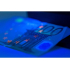 Trizand 2-in-1 XPE UV Zaklamp - Krachtige LED en UV Functie, Schokbestendig en Waterdicht