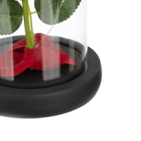 Roos in glas - led verlicht - Ruhhy - cadeau - geliefde - glazen stolp