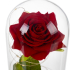 Roos in glas - led verlicht - Ruhhy - cadeau - geliefde - glazen stolp