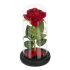 Roos in glas - led verlicht - Ruhhy - cadeau - geliefde - glazen stolp