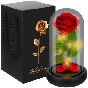 Roos in glas - led verlicht - Ruhhy - cadeau - geliefde - glazen stolp