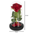 Roos in glas - led verlicht - Ruhhy - cadeau - geliefde - glazen stolp